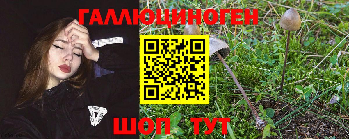 Галлюциногенные грибы прущие грибы Златоуст